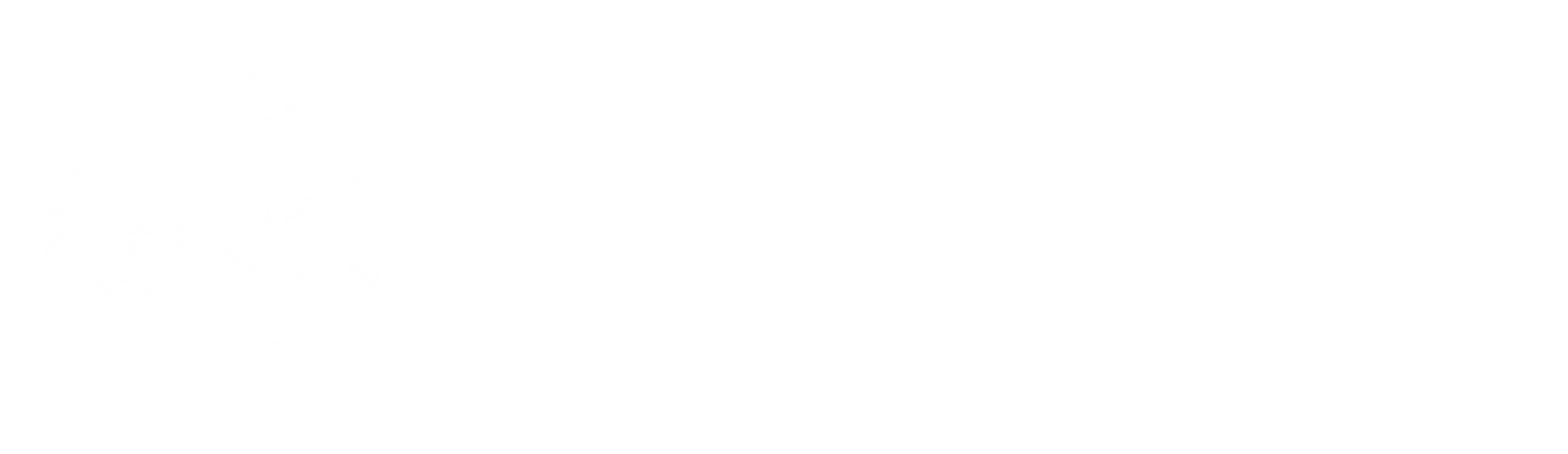 Dan Mirgon, LLC